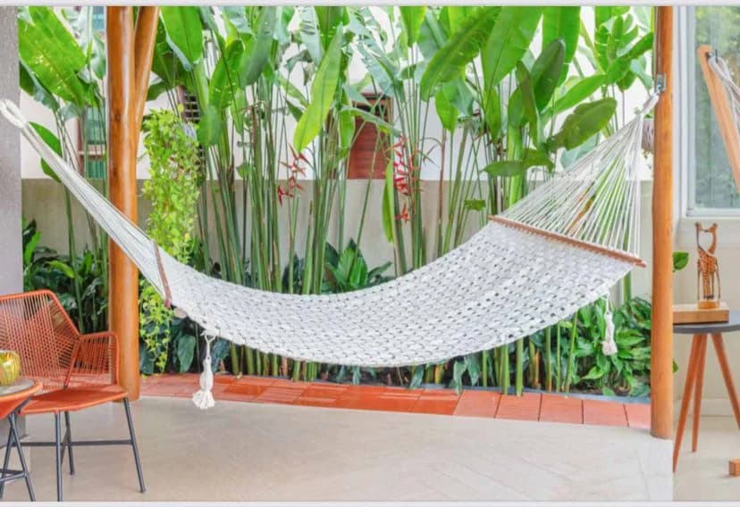 Rede Trancê Big Brother.