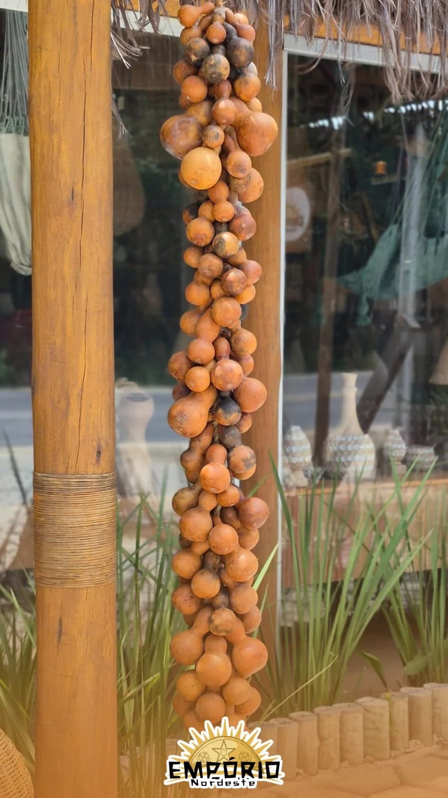 PENCA/COLAR DE CABACINHAS