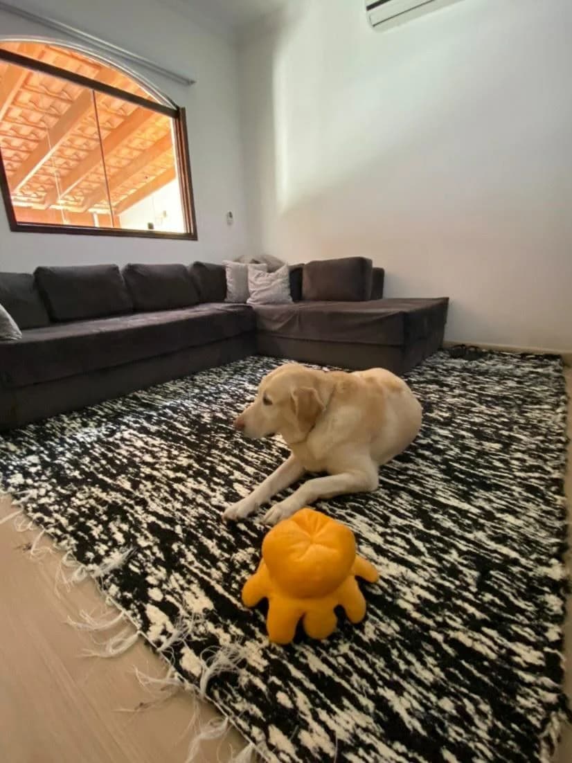 TAPETE CHINIL 2,0M X 3,0M (algodão) 4