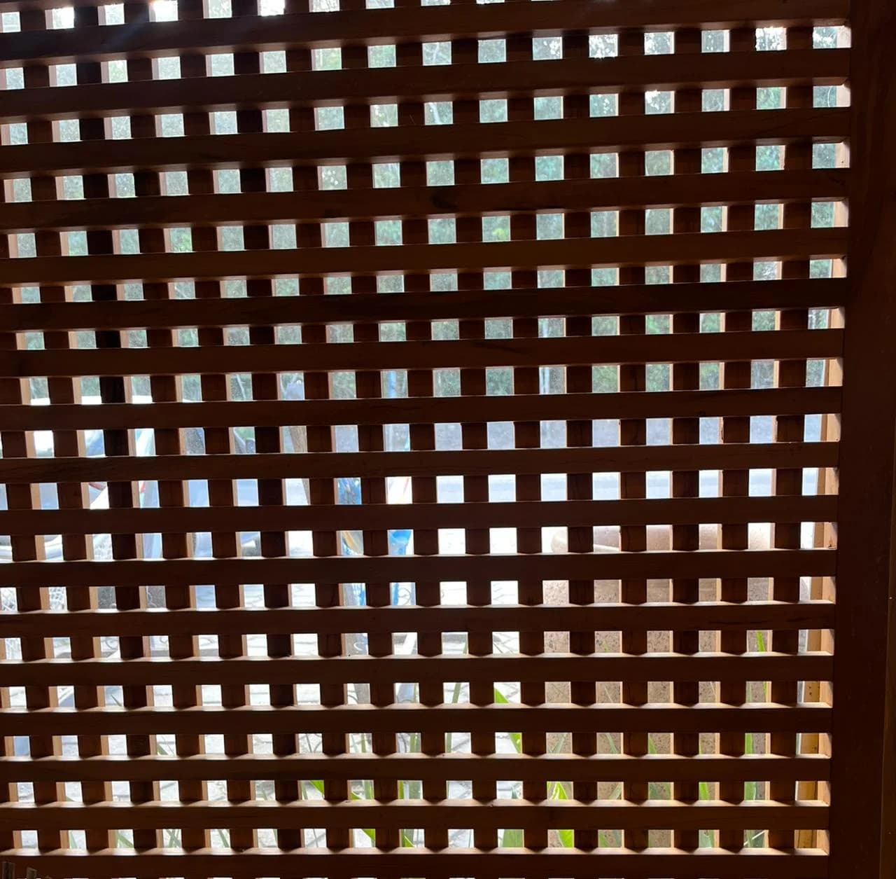 31137f5b-cfe7-4af8-ba12-af53c96a78ed.jpg